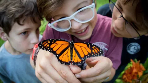 A monarch butterfly held by two children