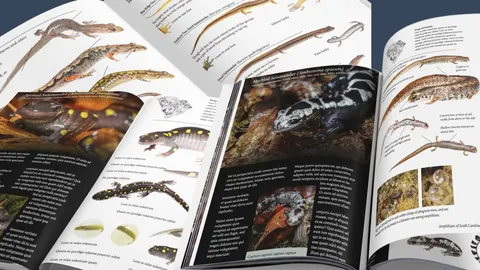 A field guide open on a table