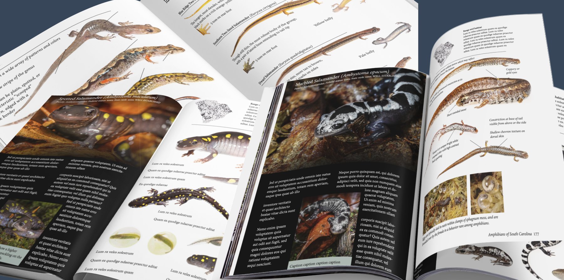 Science books and teaching materials built around the field photographs